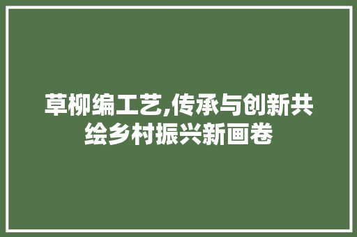 草柳编工艺,传承与创新共绘乡村振兴新画卷