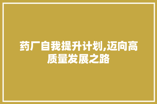 药厂自我提升计划,迈向高质量发展之路
