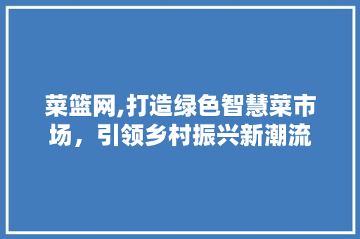 菜篮网,打造绿色智慧菜市场，引领乡村振兴新潮流