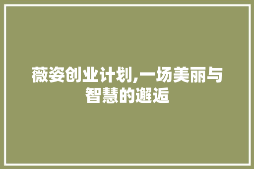 薇姿创业计划,一场美丽与智慧的邂逅