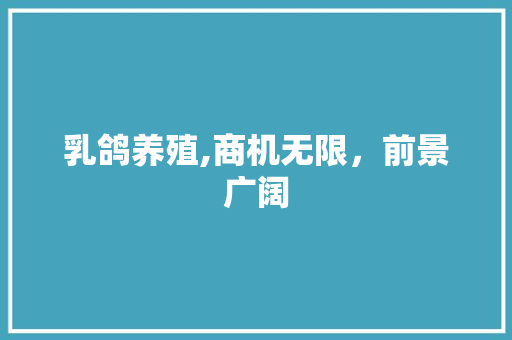 乳鸽养殖,商机无限，前景广阔