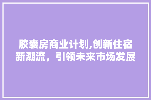 胶囊房商业计划,创新住宿新潮流，引领未来市场发展