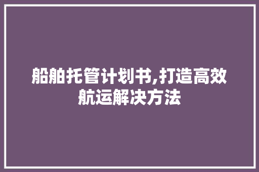船舶托管计划书,打造高效航运解决方法