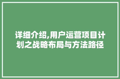 详细介绍,用户运营项目计划之战略布局与方法路径