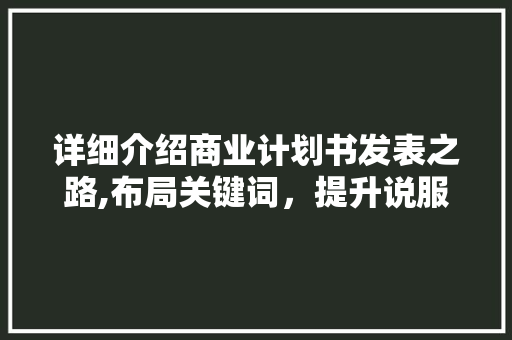 详细介绍商业计划书发表之路,布局关键词，提升说服力