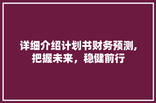 详细介绍计划书财务预测,把握未来，稳健前行