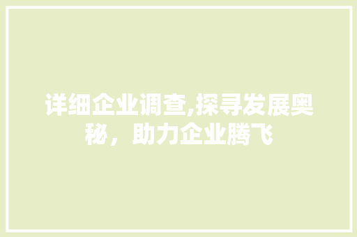 详细企业调查,探寻发展奥秘，助力企业腾飞