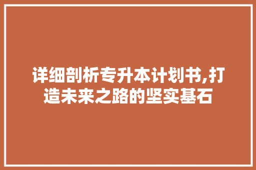 详细剖析专升本计划书,打造未来之路的坚实基石
