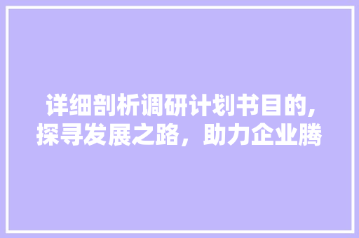 详细剖析调研计划书目的,探寻发展之路，助力企业腾飞