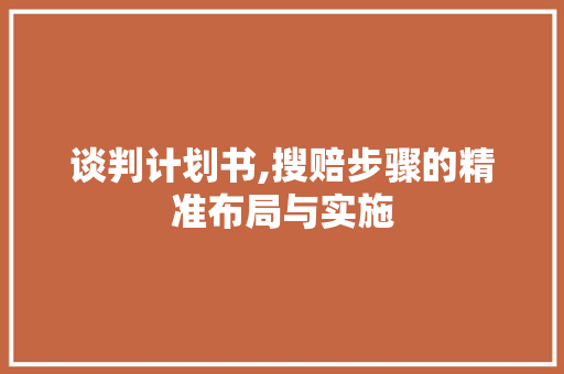 谈判计划书,搜赔步骤的精准布局与实施