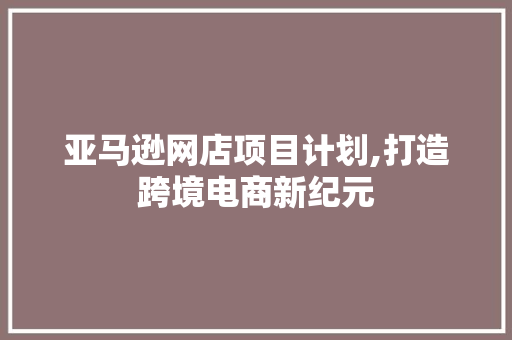 亚马逊网店项目计划,打造跨境电商新纪元