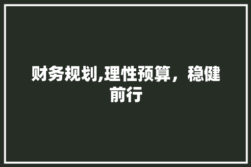 财务规划,理性预算，稳健前行