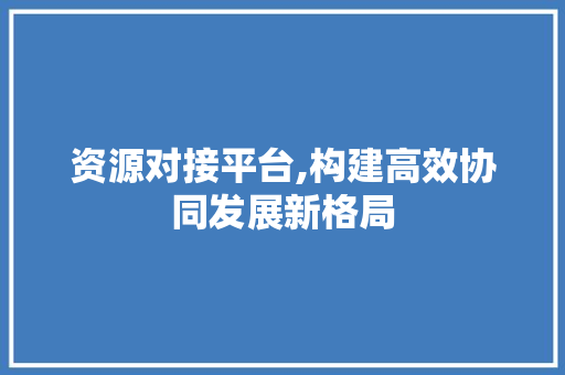 资源对接平台,构建高效协同发展新格局