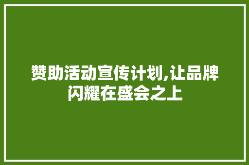 赞助活动宣传计划,让品牌闪耀在盛会之上
