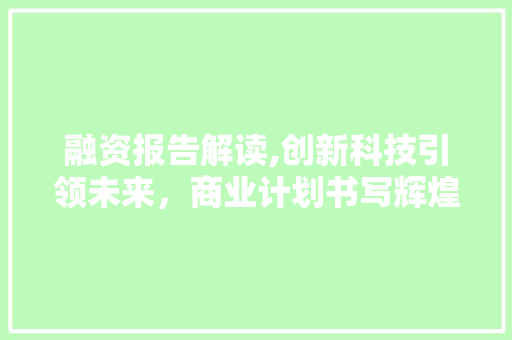 融资报告解读,创新科技引领未来，商业计划书写辉煌篇章