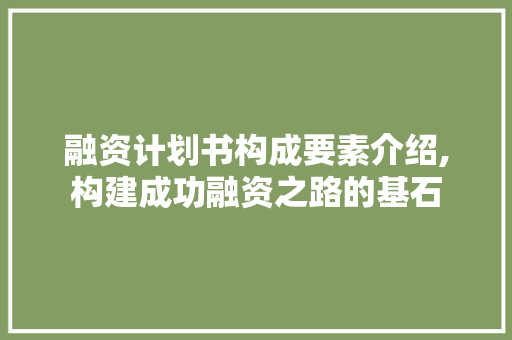 融资计划书构成要素介绍,构建成功融资之路的基石
