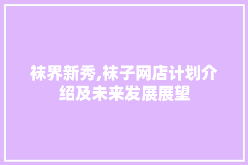 袜界新秀,袜子网店计划介绍及未来发展展望