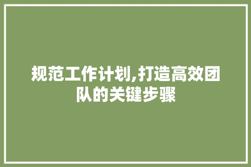 规范工作计划,打造高效团队的关键步骤