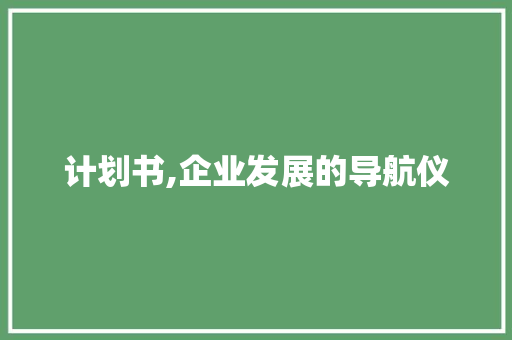计划书,企业发展的导航仪
