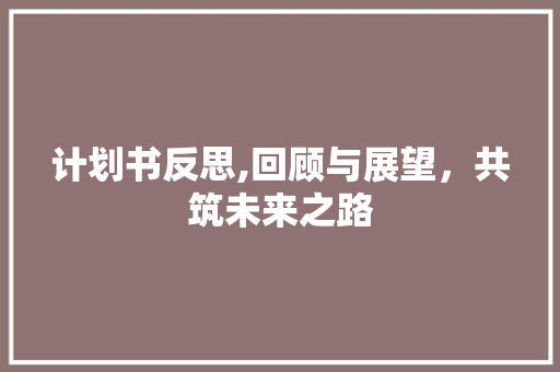 计划书反思,回顾与展望，共筑未来之路 生活感悟
