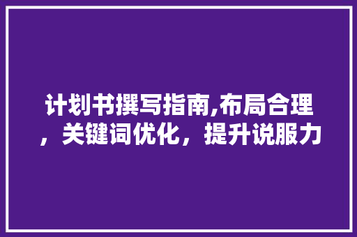 计划书撰写指南,布局合理，关键词优化，提升说服力