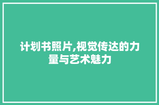 计划书照片,视觉传达的力量与艺术魅力