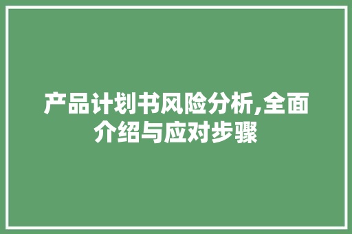 产品计划书风险分析,全面介绍与应对步骤