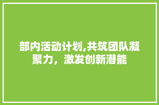 部内活动计划,共筑团队凝聚力，激发创新潜能