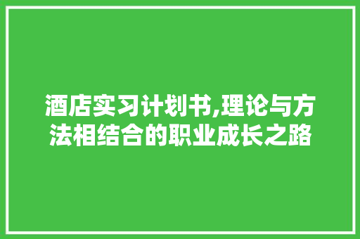 酒店实习计划书,理论与方法相结合的职业成长之路