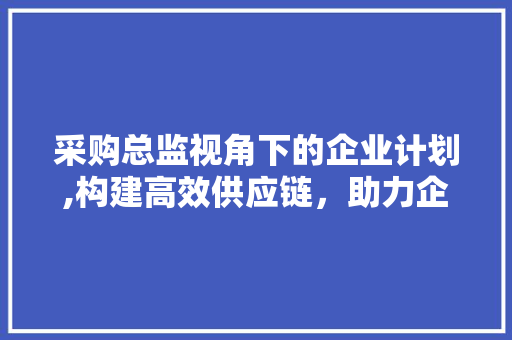 采购总监视角下的企业计划,构建高效供应链，助力企业腾飞