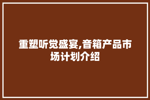 重塑听觉盛宴,音箱产品市场计划介绍