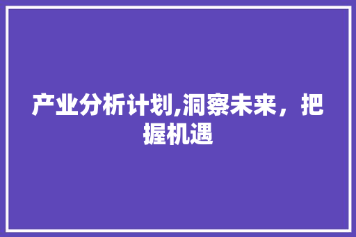 产业分析计划,洞察未来，把握机遇 工作类