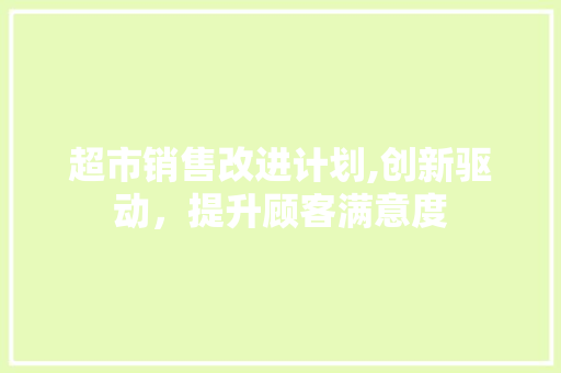 超市销售改进计划,创新驱动，提升顾客满意度
