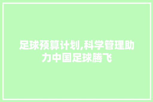 足球预算计划,科学管理助力中国足球腾飞
