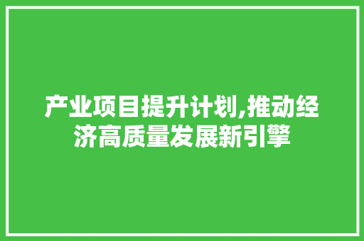 产业项目提升计划,推动经济高质量发展新引擎