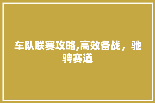 车队联赛攻略,高效备战，驰骋赛道
