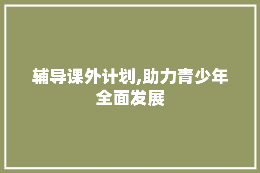 辅导课外计划,助力青少年全面发展