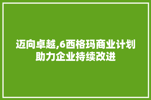 迈向卓越,6西格玛商业计划助力企业持续改进
