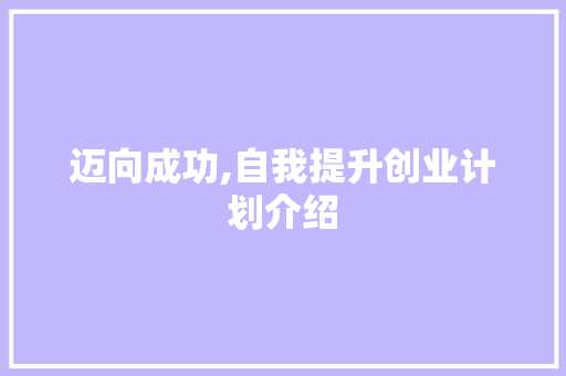 迈向成功,自我提升创业计划介绍