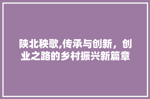 陕北秧歌,传承与创新，创业之路的乡村振兴新篇章