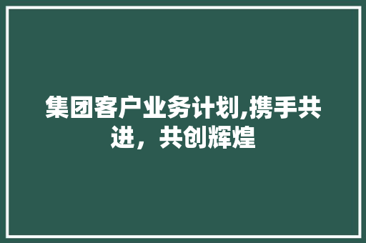 集团客户业务计划,携手共进，共创辉煌