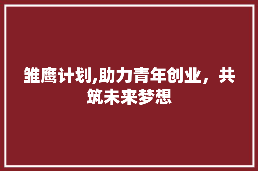 雏鹰计划,助力青年创业，共筑未来梦想