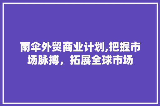 雨伞外贸商业计划,把握市场脉搏，拓展全球市场