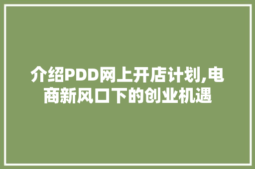 介绍PDD网上开店计划,电商新风口下的创业机遇