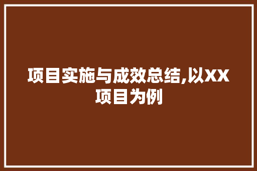 项目实施与成效总结,以XX项目为例