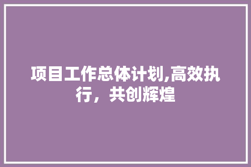 项目工作总体计划,高效执行，共创辉煌