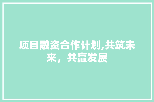 项目融资合作计划,共筑未来，共赢发展