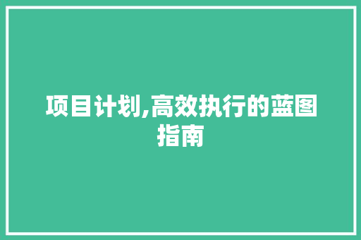 项目计划,高效执行的蓝图指南