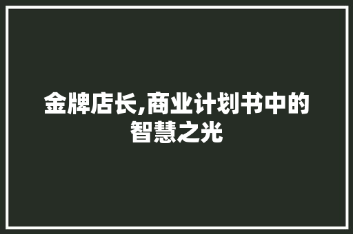 金牌店长,商业计划书中的智慧之光