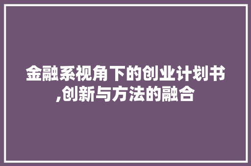 金融系视角下的创业计划书,创新与方法的融合